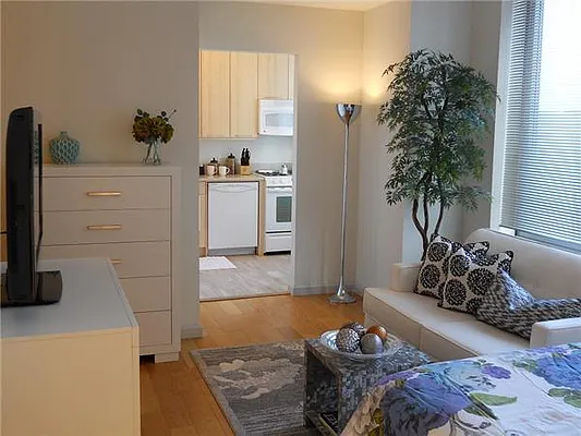 Rented by Nancy Packes Inc. | media 11