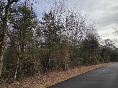 5975 Greers Ferry Rd, Higden, AR, 72067