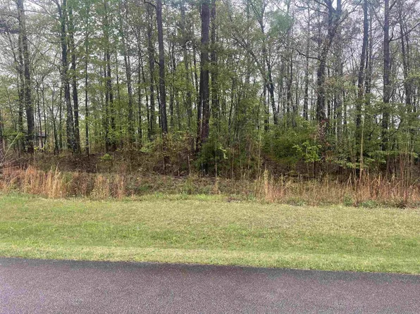 0 Old South Rd Lot 256, Counce, TN 38326