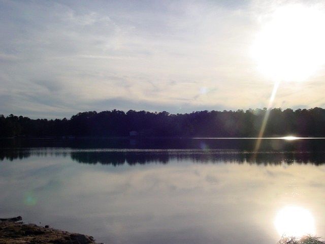 2nd image of LOT 169 Pine Point