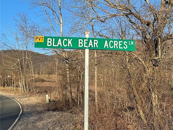 2nd image of TBD Lot #1 Black Bear Acres Lane