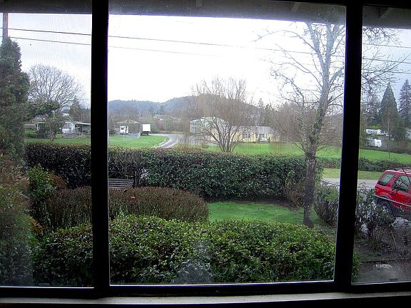 Living Room Window