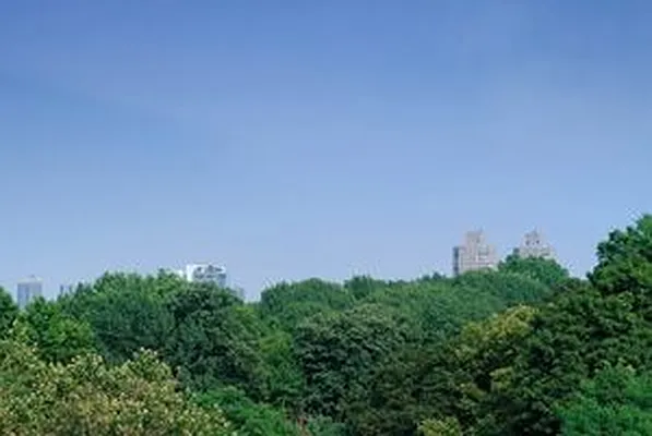 Sold by Douglas Elliman | media 4