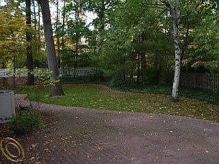 4th image of 32892 Robinhood Dr