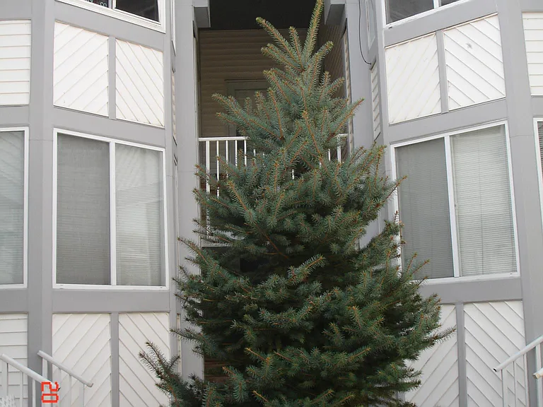 1706 Amanda Ct — Photo 2