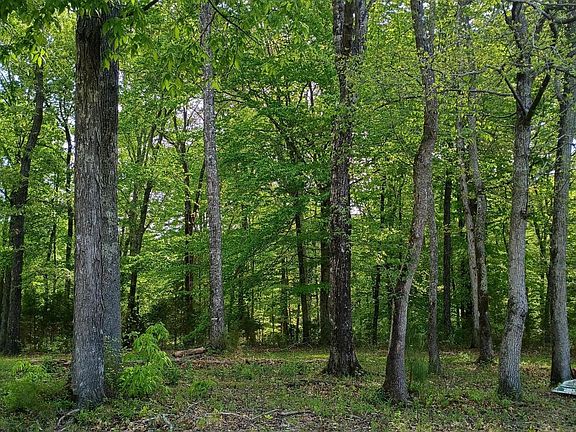 5th image of 44 County Road 219