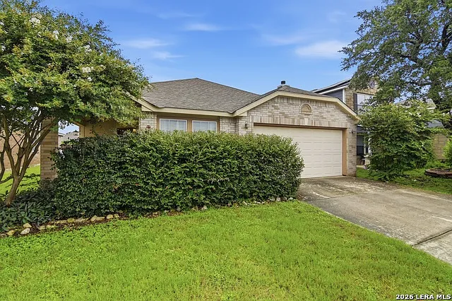 25537 Gold Yarrow — Photo 2