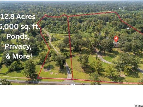 13100 Triple B Rd, Greenwell Springs, LA 70739