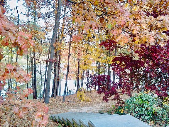 Fall Views back yard