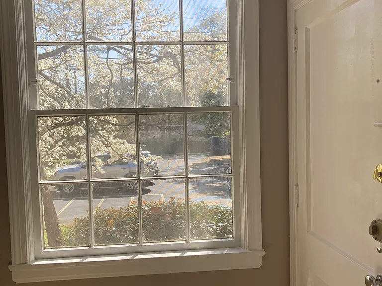 View from Kitchen window