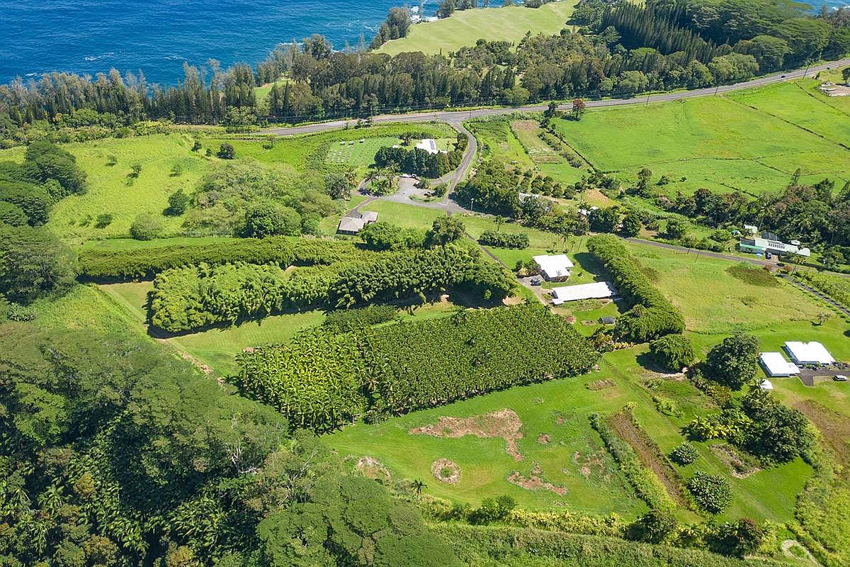 281829 Old Mamalahoa Hwy, Honomu, HI 96783 MLS 704507 Zillow