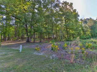 40 Bird Song Ln, Elgin, SC 29045