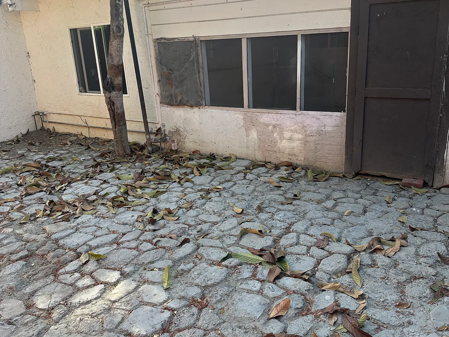3 bed, 1200 sqft, $3,800 — Photo 3