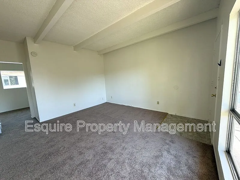 1 bed, 1.0 bath, 588 sqft, $1,725 — Photo 3