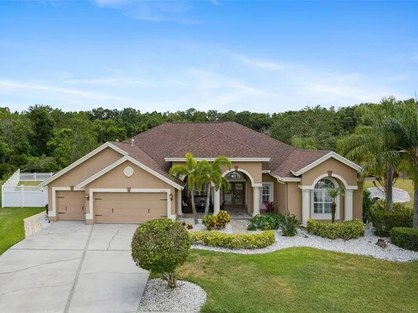 27740 Water Ash Dr, Wesley Chapel, FL 33544