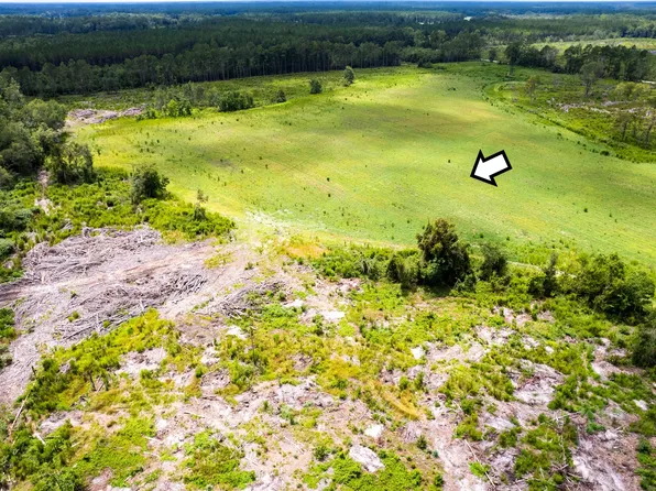 LOT 20 Chestnut Rd, Alma, GA 31510