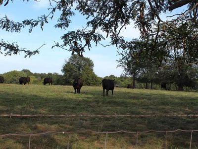 20 County Road 452, Curryville, MO, 63339