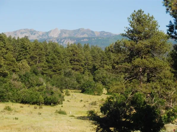 X US Hwy 84 #115, Pagosa Springs, CO 81147