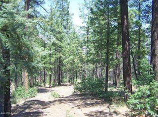 LOT 47 Copper Mountain Cir, Alpine, AZ 85920