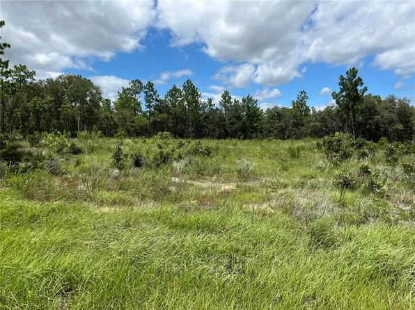 SW 88th St Lot 6, Dunnellon, FL 34432