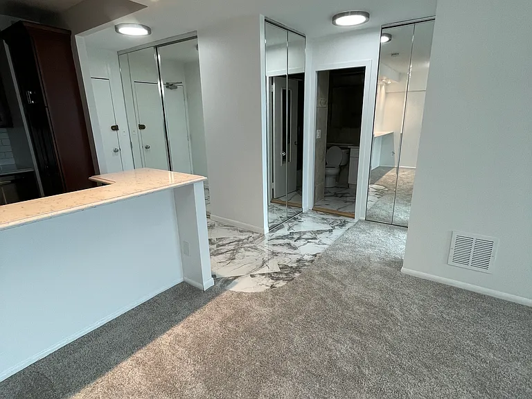1255 N Sandburg Ter #2105 — Photo 9