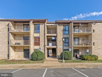 6143 Edsall Rd APT D, Alexandria, VA, 22304