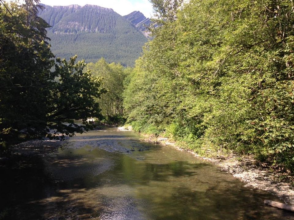 2nd image of 33405 State Route 530