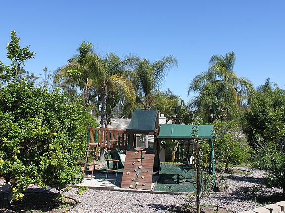 Playground and Orchard