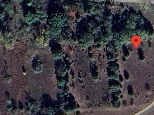 16211 E 5480th Rd, Pembroke Township, IL 60958