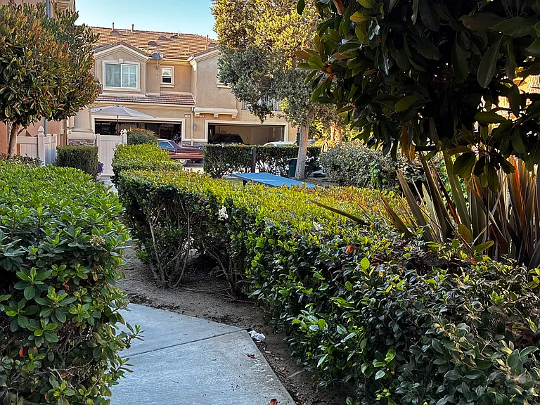 Gothard St — Photo 19