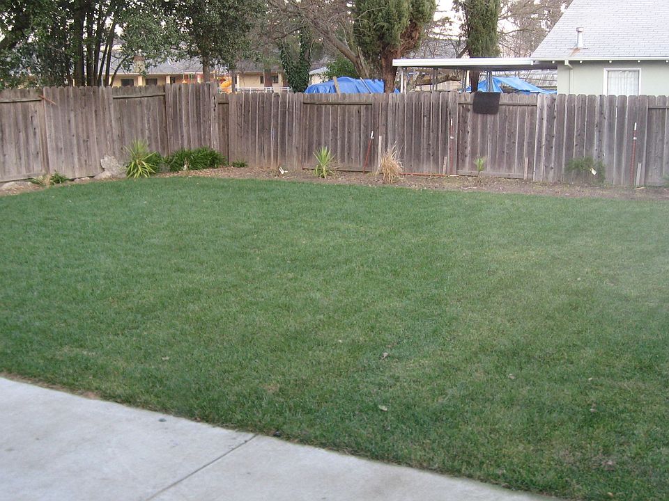 Inground Sprinklers