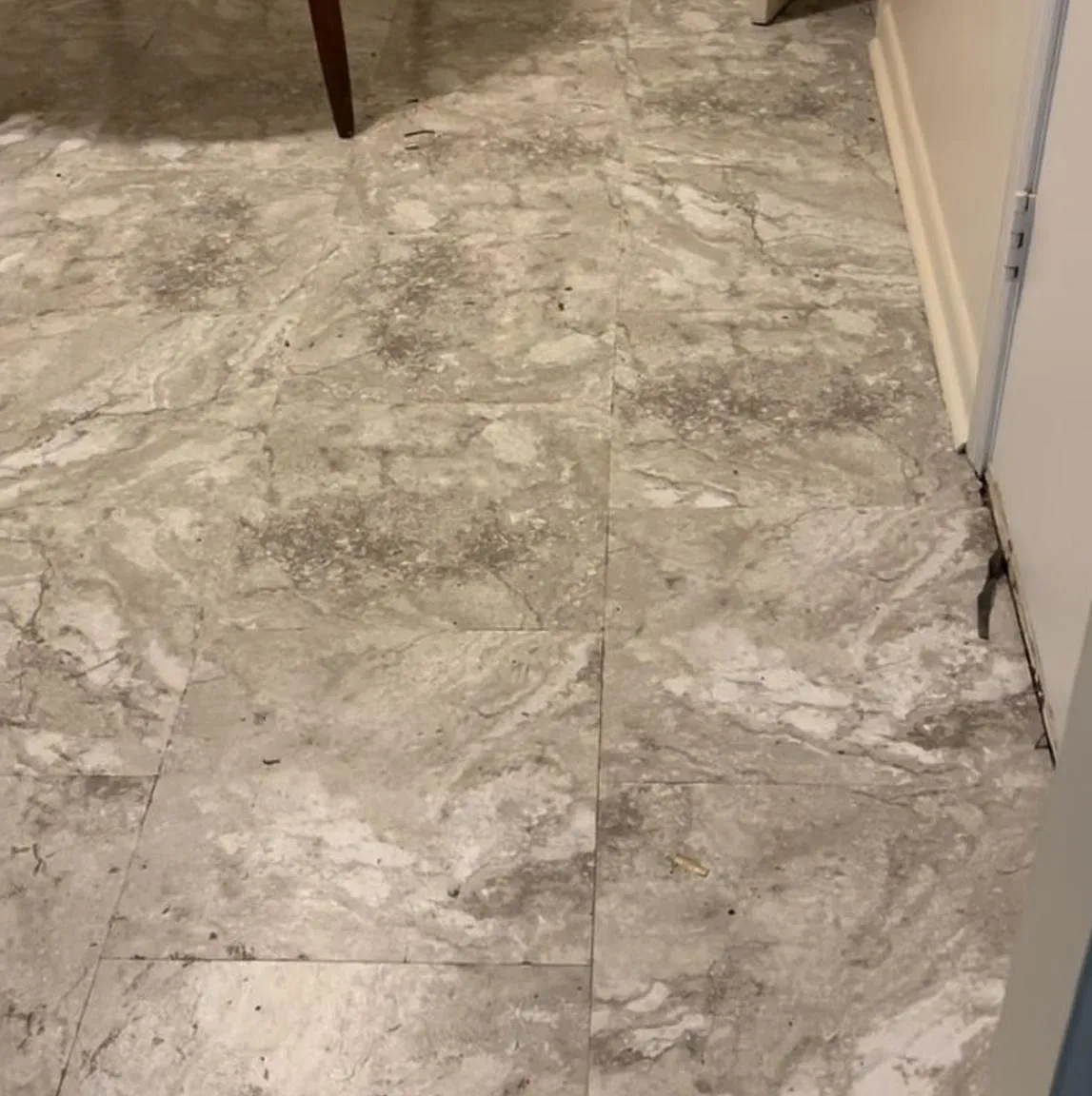 3 bed, 875 sqft, $925 — Photo 3