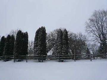 2nd image of 259 Fond Du Lac St