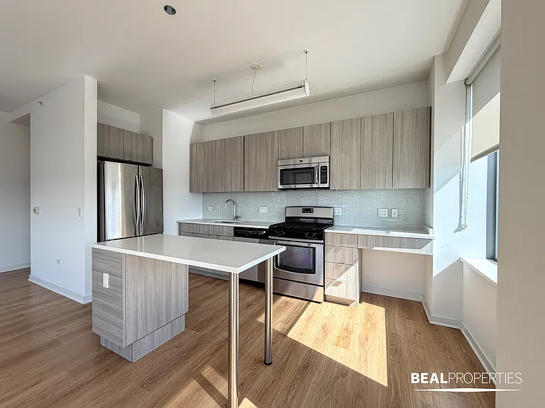 558 W Webster — Photo 74