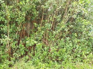 19th Ave LOT 190, Keaau, HI 96749