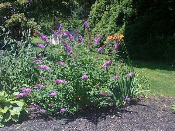 Curbside Bed