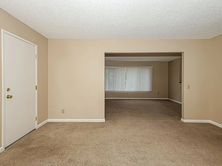 517 Debbie Dr — Photo 3