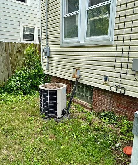 3370 Lownesdale Rd — Photo 4
