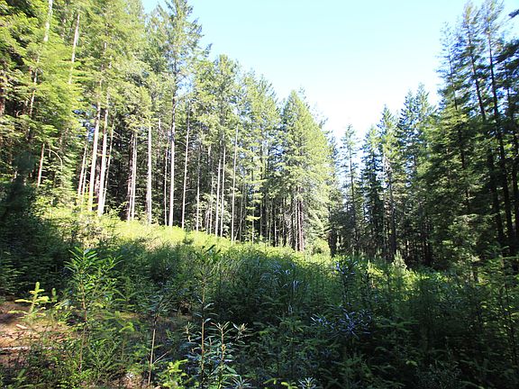 5th image of 27610 Highway 20