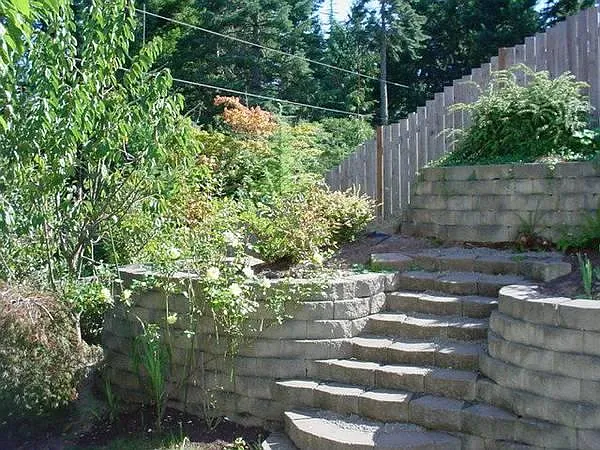Backyard view