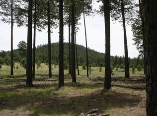 6349 N Sanderson Pass Rd, Flagstaff, AZ 86018