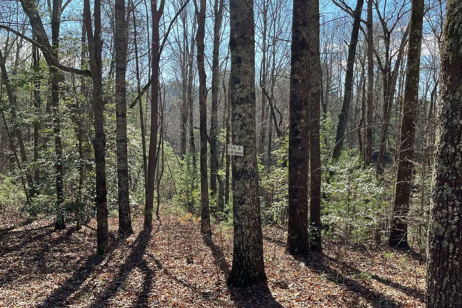 LOT 6 Pickett Mill Ln, Ellijay, GA 30540 Zillow