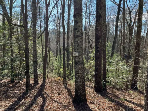 LOT 6 Pickett Mill Ln, Ellijay, GA 30540