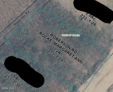 L 233 Roberson Road, Shushan, NY, 12873