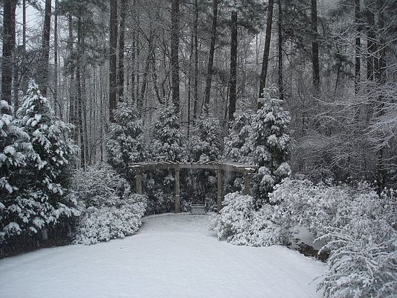 Back Yard Corner Patio
