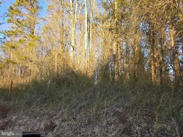 0 Eggbornsville Rd, Rixeyville, VA 22737