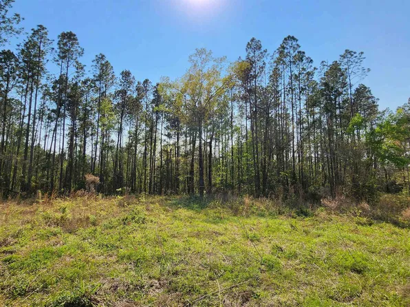 22478 Ransom Rd, Hosford, FL 32334