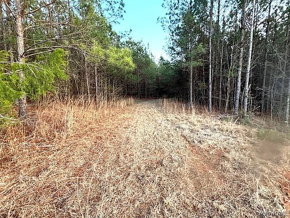3rd image of 1522 Naftel Rd