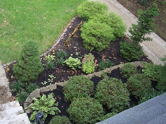 Front Yard - Aerial View