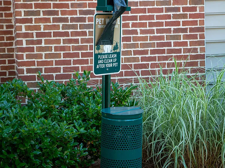 Walton Centennial — Photo 44